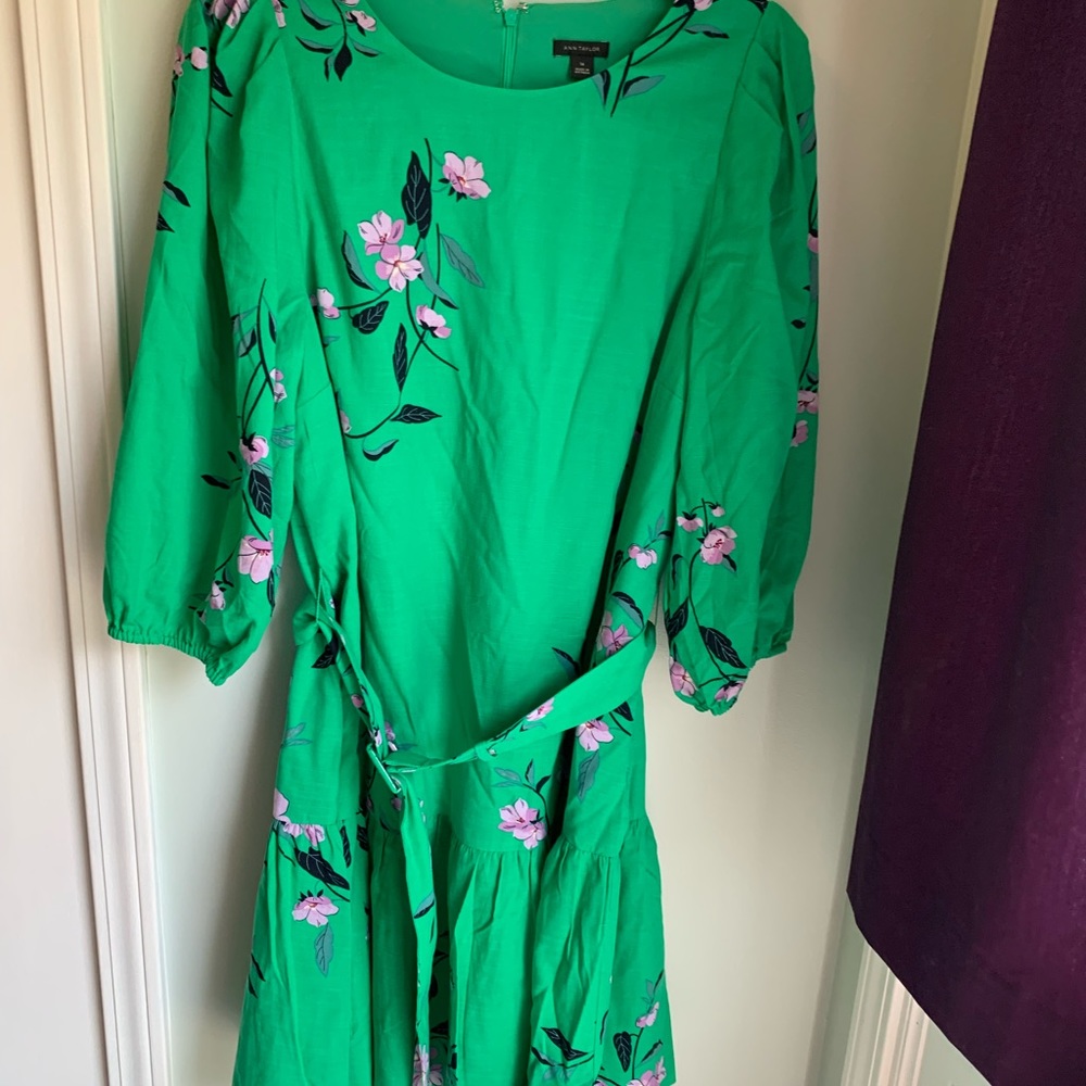NWOT Ann Taylor green dress. Tried on never worn.